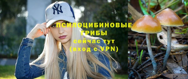 mdpv Майский