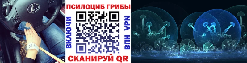 Псилоцибиновые грибы прущие грибы  где можно купить наркотик  Нижние Серги 